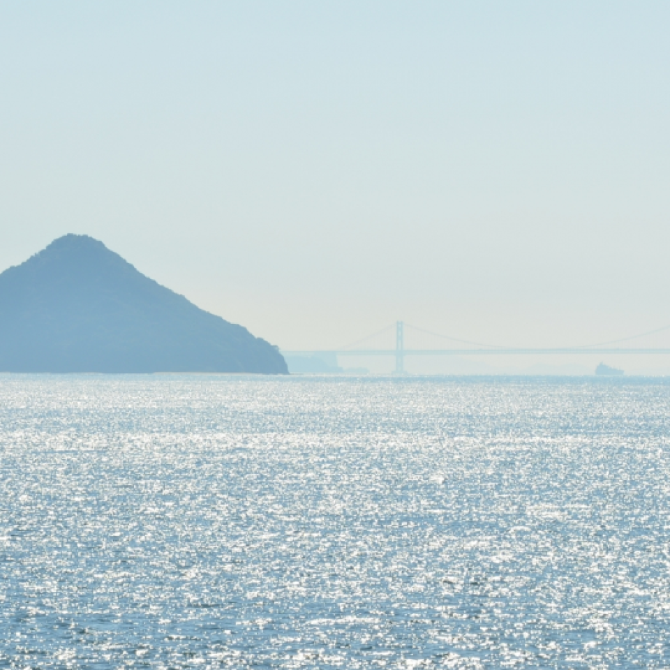 東京/総合探偵アローリサーチ/コラム