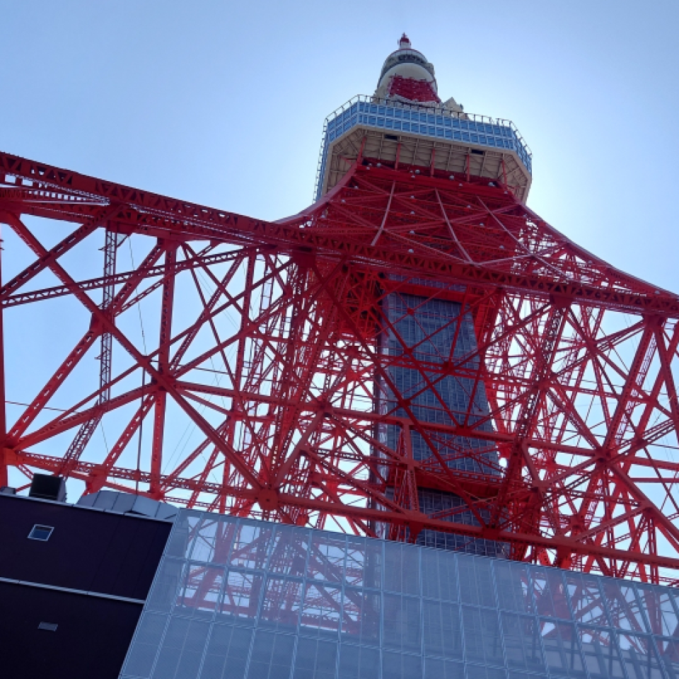 東京/総合探偵アローリサーチ/コラム